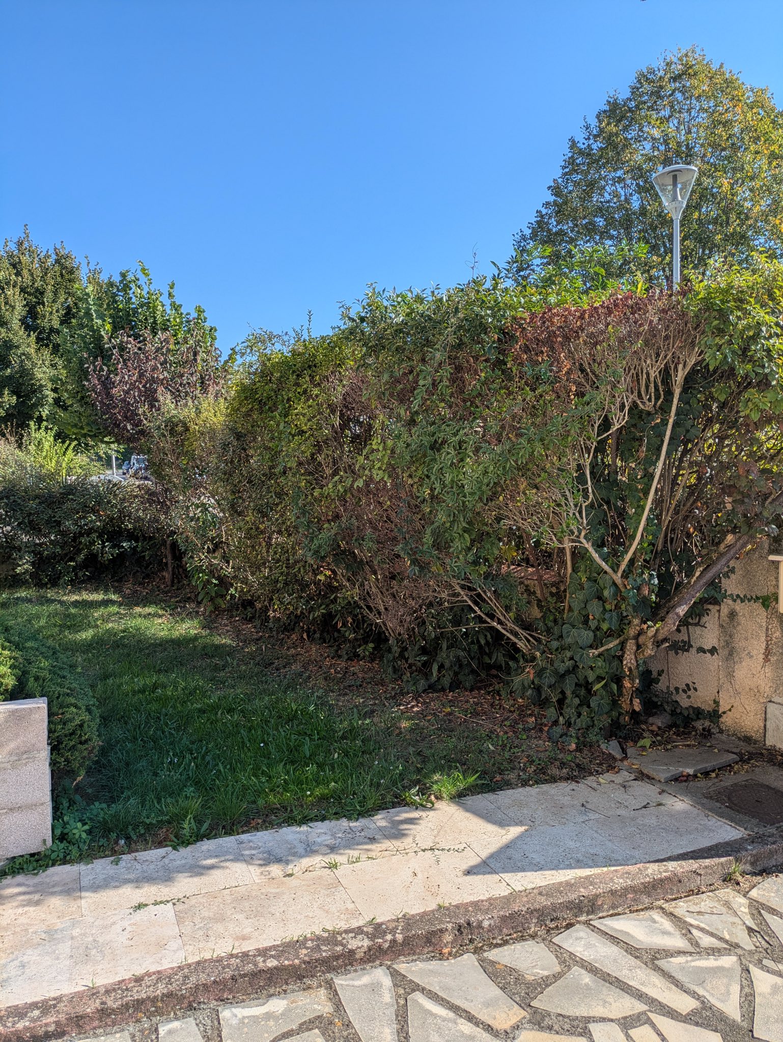 Retrait d&rsquo;une haie